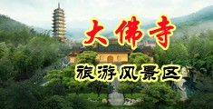 操逼网站免费观看中国浙江-新昌大佛寺旅游风景区